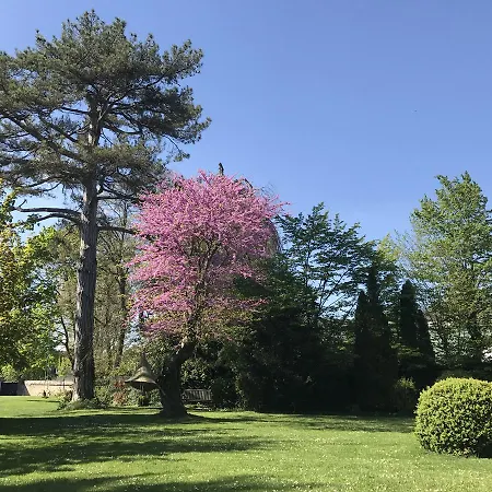 Bed & Breakfast La Buissonniere Compiègne