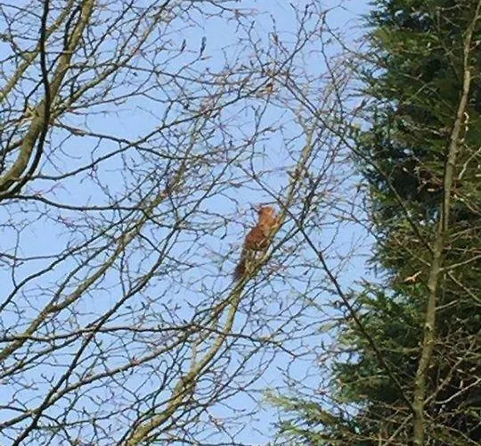 La Buissonnière Couette-café 4*